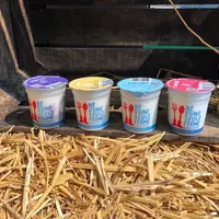 Les yaourts de la start-up Né d'une seule ferme permettent une valorisatinon du lait de 500 euros les 1000 litres. © Né d'une seule ferme
