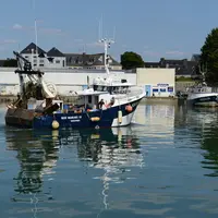 La moitié des criées de Cornouaille fonctionne. © F. J.