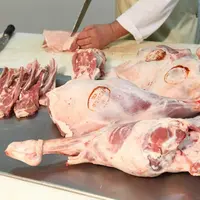 100 000 agneaux, c’est le report des abattages estimés pour Pâques. © JC Gutner