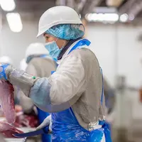 Le taux accidents du travail sur maladies professionnelles est tombé sous la barre des 4 % à Presta Breizh en 2019. © Presta Breizh