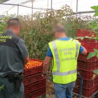En 2019, la Commission européenne a mené avec Europol une action contre la fraude aux produits bios. © Commission européenne