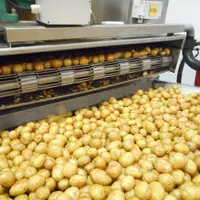L'investissement de 8 à 9 millions d'euros devrait permettre à la PME d'accroître sa capacité de production entre 18 000 et 20 000 tonnes. © DR