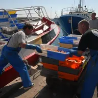 Un réaménagement est prévu pour Halios Pêcheurs de Bretagne et Men ar Groas au Guilvinec. © DR