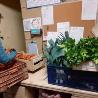 Auvabio organise et structure la production de fruits et légumes bios en Auvergne à destination du marché du demi-gros. Son fonctionnement inspire d’a