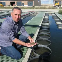 Stéphane Angeri, le PDG de France Naissain, produit et commercialise depuis Bouin (85) des naissains d’huîtres creuses. © Th. G.