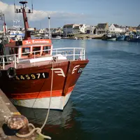 Dans le port du Guilvinec. © Franck Jourdain