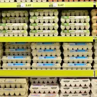 Les œufs sont exclus des accords de coopération d'Horizon, à l'exception des œufs issus des contrats de filière tripartite (dans la limite de 5% des v