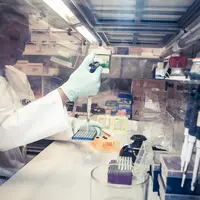 L'Inrae déploie des programmes de recherche en vue de vérifier ou améliorer la qualité des aliments et analyser les comportements et régimes alimentai