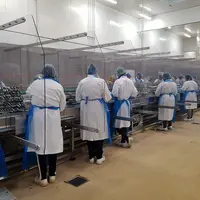 Chancerelle a eu accès « à partir de mai » à la sardine de bolinche capturée dans le golfe de Gascogne et débarquée dans des ports du sud-Bretagne. ©
