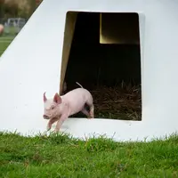 Le tipig pourrait être commercialisé pour amortir ses coûts de recherche. © Vallégrain Bio