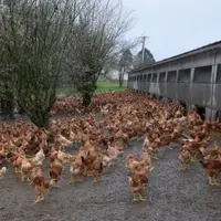 La France force sur le plein air haut de gamme (20 %). © Y. B.