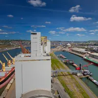 En 2019-2020, 3,5 millions de tonnes de blé français exportées du port de Rouen sont sorties des silos de Sénalia. © Sénalia