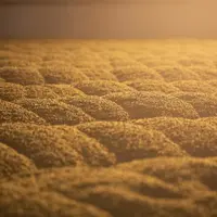 La malterie est la principale activité industrielle du groupe Soufflet. © Groupe Soufflet