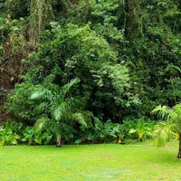L'Alliance pour la préservation des forêts, à laquelle adhèrent Alliance 7, Unia, Cérélia, Vandemoortele, ainsi que Nestlé, Ferrero... veut impliquer