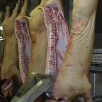 Des abattoirs bretons de porc ont déposé leur dossier dans le cadre du plan de modernisation des abattoirs. © Dominique Poilvet