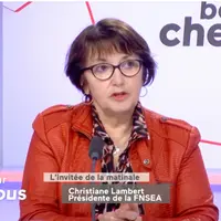 Christiane Lambert, présidente de la FNSEA, a déclaré le 23 février sur Public Sénat que la loi Egalim « ne marche pas comme prévu ». © Capture d'Ecra