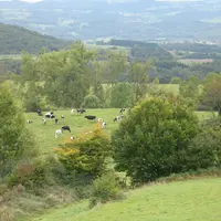La diversité caractérise l'élevage de la Haute-Loire. © Réussir