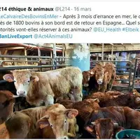 Sur Facebook et Twitter, les appels ont été nombreux. © Capture d'écran