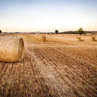 Les industries agroalimentaires sont particulièrement exposées aux changements climatiques déjà en cours appelés à s’accélérer. © Carbone 4