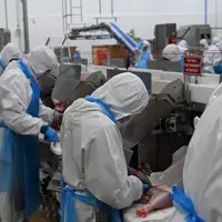 LDC va investir 220 millions d'euros dans son appareil industriel en 2021-2022. © Reussir