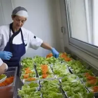 Restauration collective : ce qui change avec la loi Climat