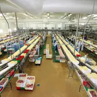 Le pôle data du groupe coopératif Cooperl est aujourd'hui constitué de 25 personnes.