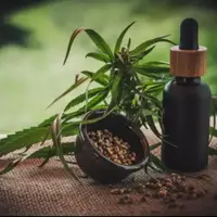 Le marché français du cannabidiol est estimé à près de 700 millions d’euros dès 2022.