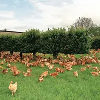 L’ECC reste inadapté techniquement et économiquement sur les premiers prix  et les produits transformés.