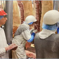 L'Union des groupements de producteurs de viande de Bretagne (UGPVB) a saisi Uniporc-Ouest, l’an passé, pour qu’il travaille sur un mode opérationnel