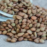 De faibles rendements pour la filière lentille origine France.
