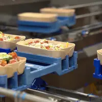 Une ligne de plats cuisinés Fleury Michon est conditionnée dans du bois.
