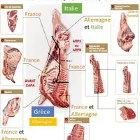 Valorisation type d'une carcasse de jeunes bovins viande.