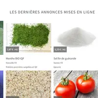 L'écran d'accueil de Stokelp, le 16 novembre, montrait une variété de produits issus de surstocks d'industriels.