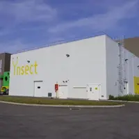 La start-up française Ynsect a levé 125 millions d'euros en 2019. © Ynsect