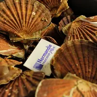 © Normandie Fraîcheur Mer