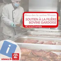 © ville de Nîmes