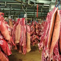La France importe davantage de viande de porc