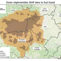 Zones de protection et de surveillance à l'égard de l'influenza aviaire hautement pathogène; cartée éditée par le ministère de l'Agriculture la 24 fév