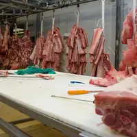 La hausse des prix du porc est difficile à répercuter pour les grossistes