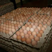 Oeufs