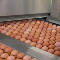 © Les Marchés