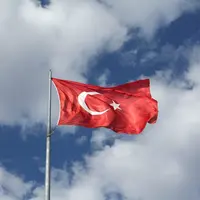 En Turquie, la filière bovine en crise