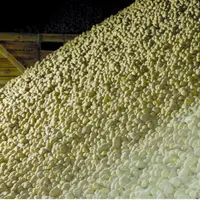 Le surplus de pommes de terres issu de la récolte 2019 est estimé à 450 000 tonnes en France. © AAP