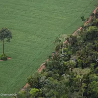 © © Daniel Beltrá / Greenpeace
