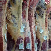 Manque de demande sur le marché de la viande bovine