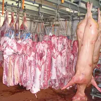 La campagne de dépistage dans les abattoirs bretons se poursuit jusqu'à fin juillet. © © Y Billard (Archives)