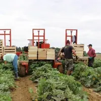Travail détaché