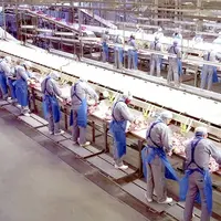 Le site de Rindsted emploie environ 900 personnes. © Danish Crown