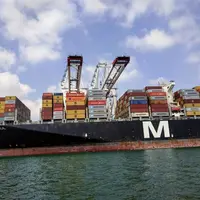 Le retrait chinois a lourdement pesé sur les exportations européennes de viande de porc.