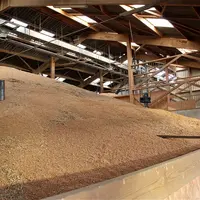 © L'Agriculteur normand/Thierry ...